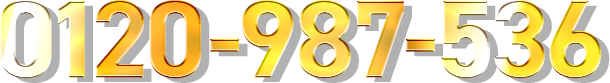 0120-987-536