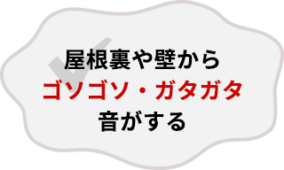 屋根裏や壁からゴソゴソ・ガタガタ音がする