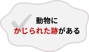 動物にかじられた跡がある