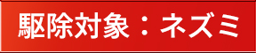 駆除対象：ネズミ